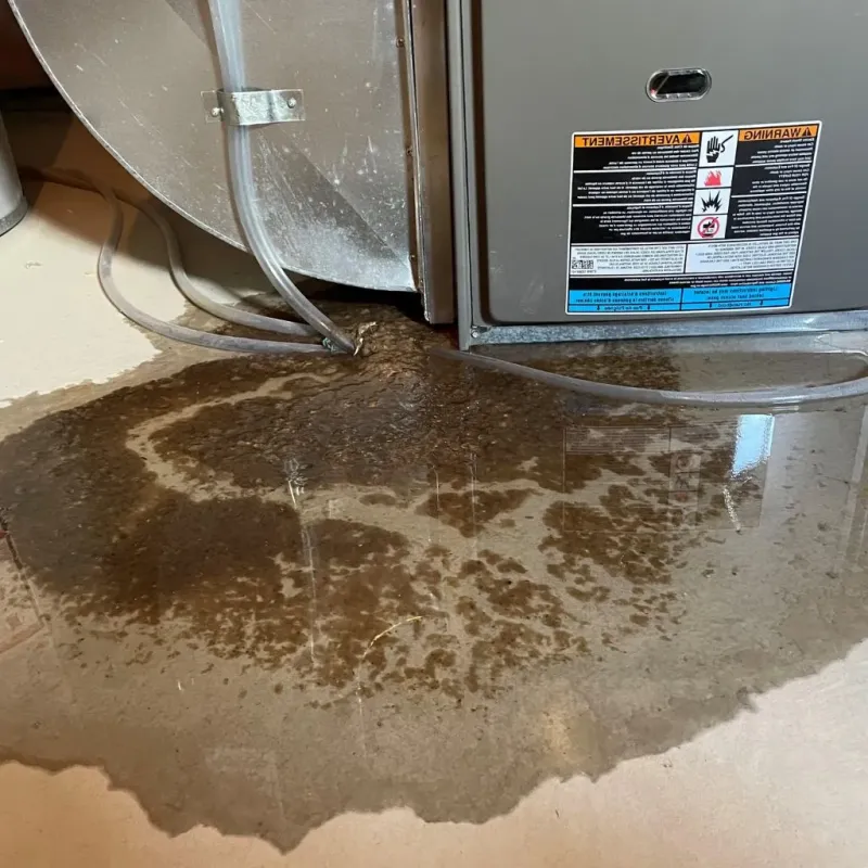 Pipe Burst and Leak Restoration in Henniker, NH